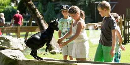 Mountainbike Urlaub - PLZ 8982 (Österreich) - Streichelzoo mit Eseln, Ziegen, Hasen, Meerschweinchen, Schweinen und Hühnern  - Bliem`s Familienhotel